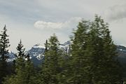 34 - Banff to Icefields - IMG_0949